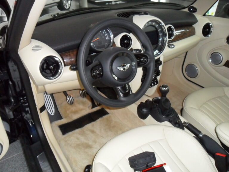 Auto-op-maat: zelfrijden; links gas mooi geïntegreerd in auto-op-maat zelfrijdend