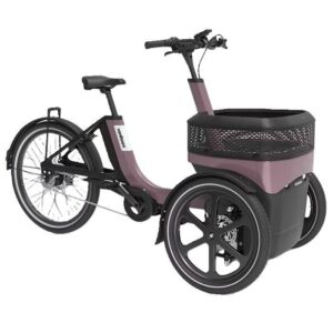 van Raam driewiel fiets Thuja